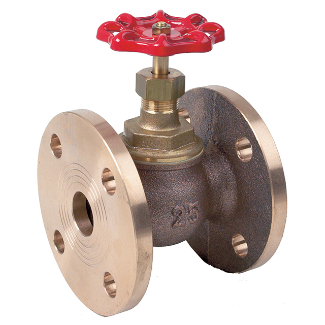 Bronze Globe Valve
